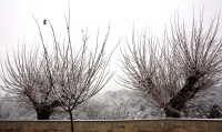 Imatges de la nevada del febrer a Piera