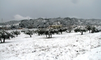 Imatges de la nevada del febrer a Piera