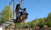 Curs Intervenció Policial amb gossos 2013